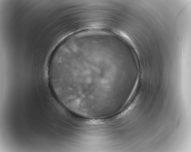 X0000088750835200706212113