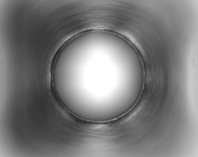 X0000088750837200706212113