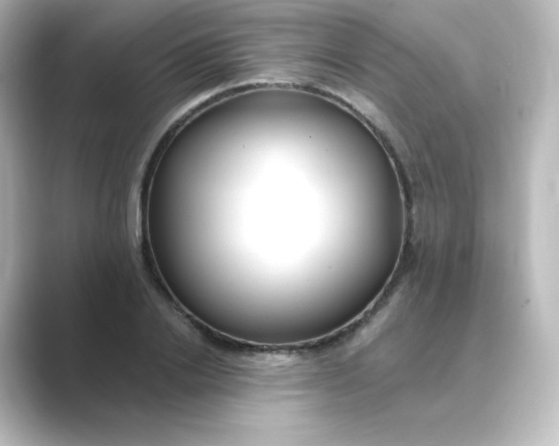 X0000088750838200706212113