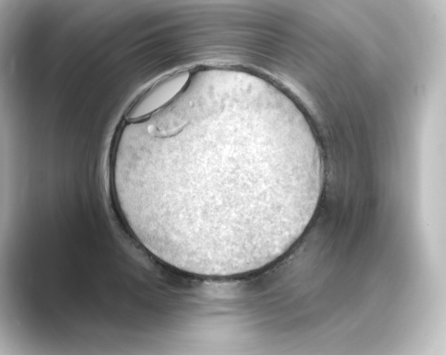 X0000088750840200706212113