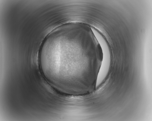 X0000088750842200706212113