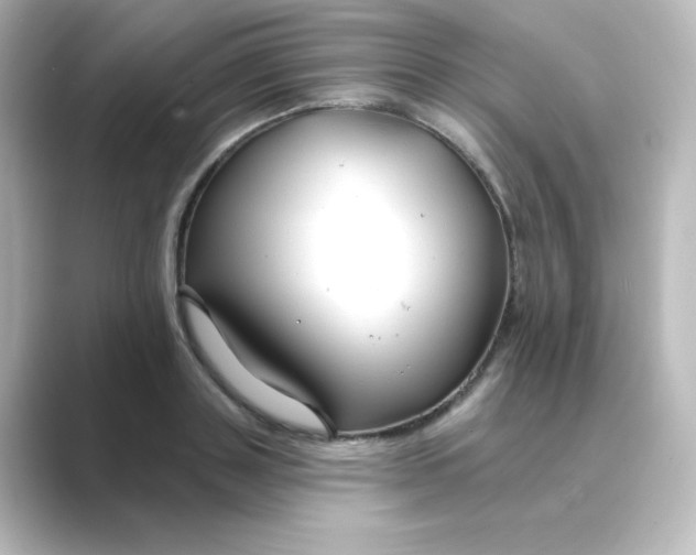 X0000088750843200706212113