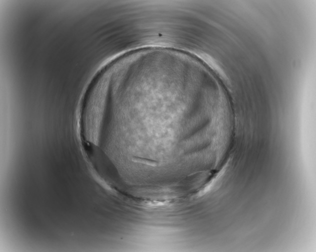 X0000088750846200706212113