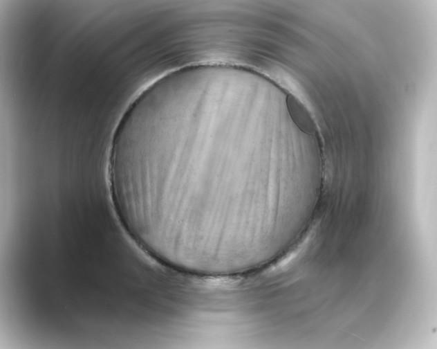 X0000088750847200706212113