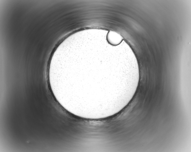 X0000088750848200706212113