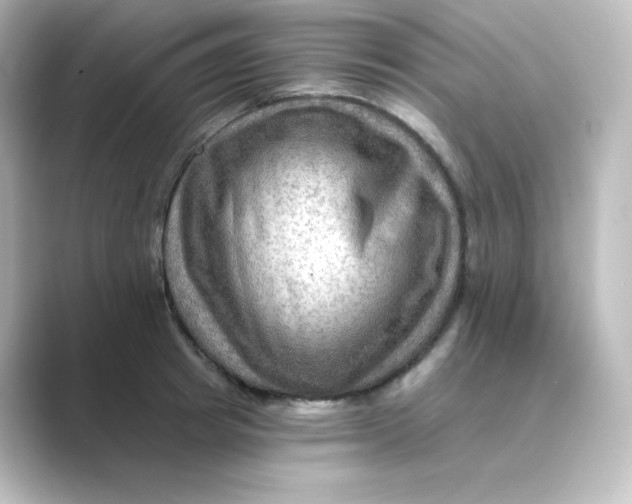 X0000088750849200706212113