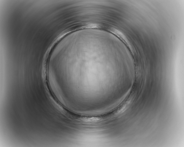 X0000088750851200706212113