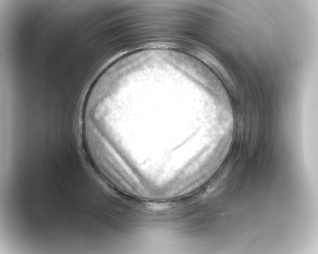 X0000088750852200706212113