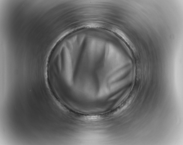 X0000088750853200706212113