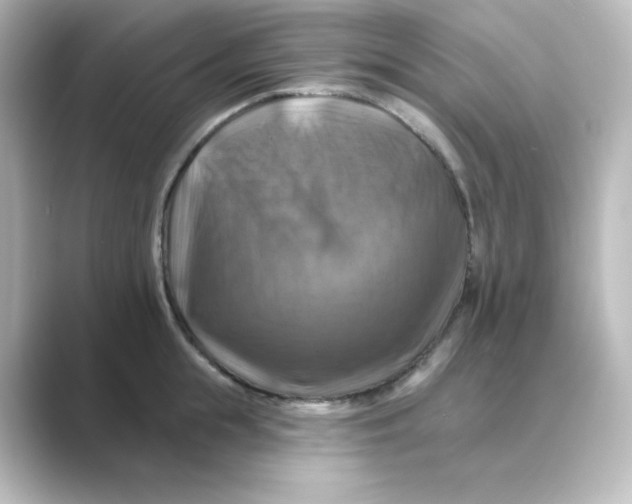 X0000088750855200706212113