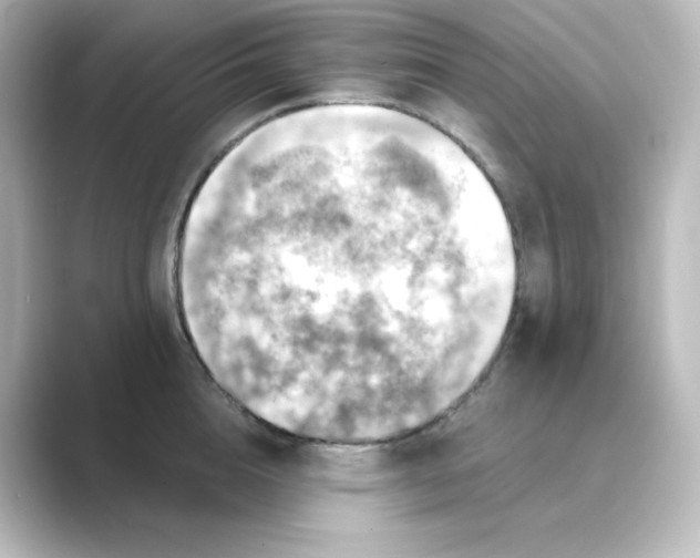 X0000088750856200706212113