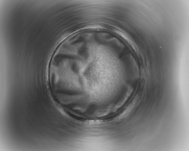 X0000088750858200706212113