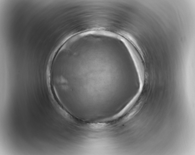 X0000088750859200706212113