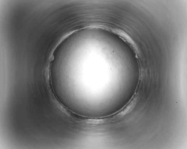 X0000088750860200706212113