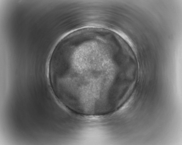 X0000088750862200706212113