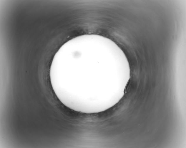 X0000088750865200706212113