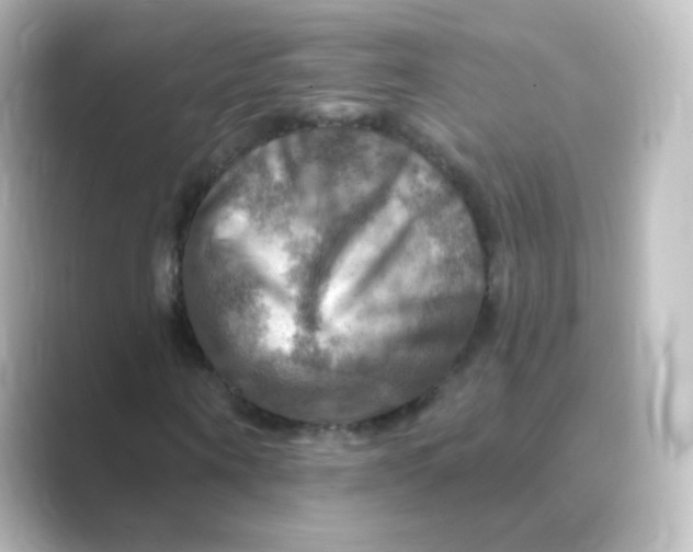 X0000088750866200706212113