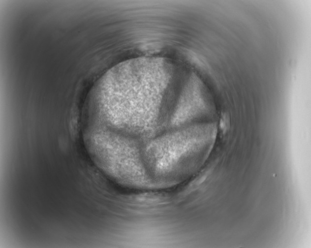 X0000088750867200706212113