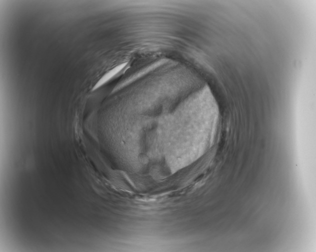 X0000088750868200706212113