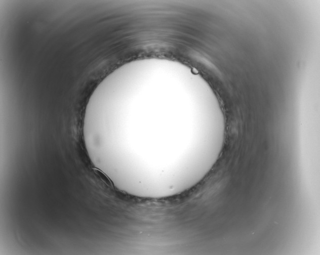 X0000088750869200706212113