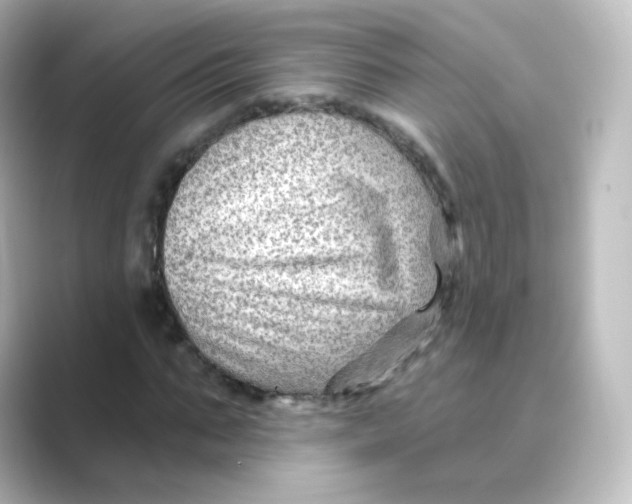 X0000088750871200706212113