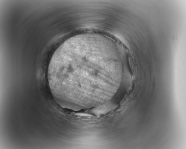 X0000088750872200706212113