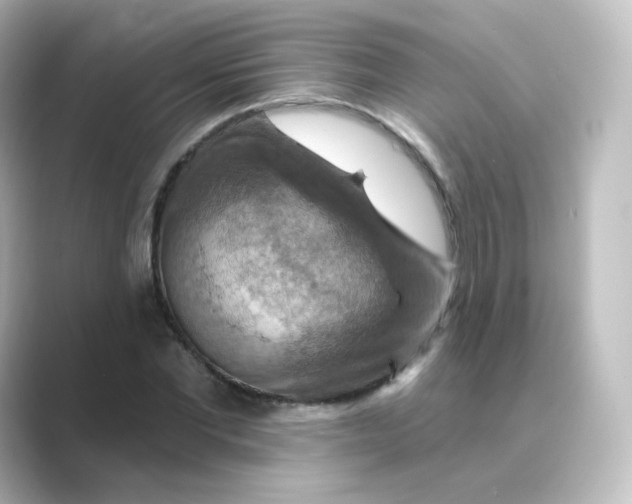 X0000088750877200706212113