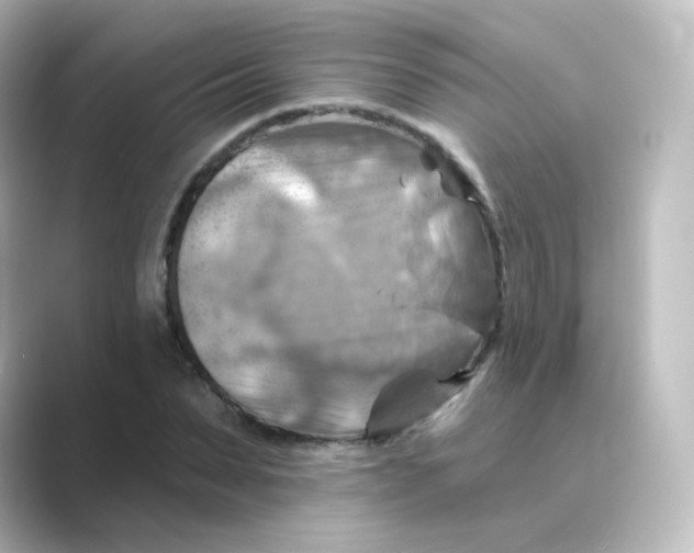 X0000088750879200706212113