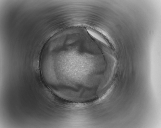 X0000088750881200706212113