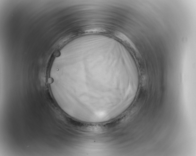 X0000088750882200706212113