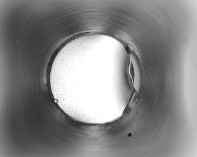 X0000088750883200706212113