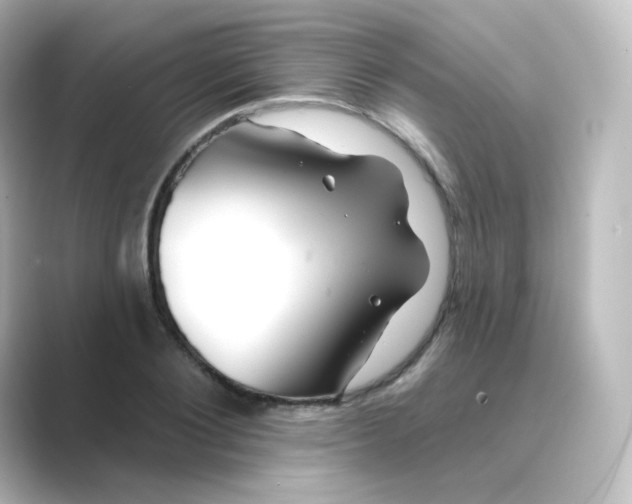 X0000088750884200706212113