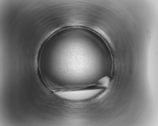 X0000088750885200706212113