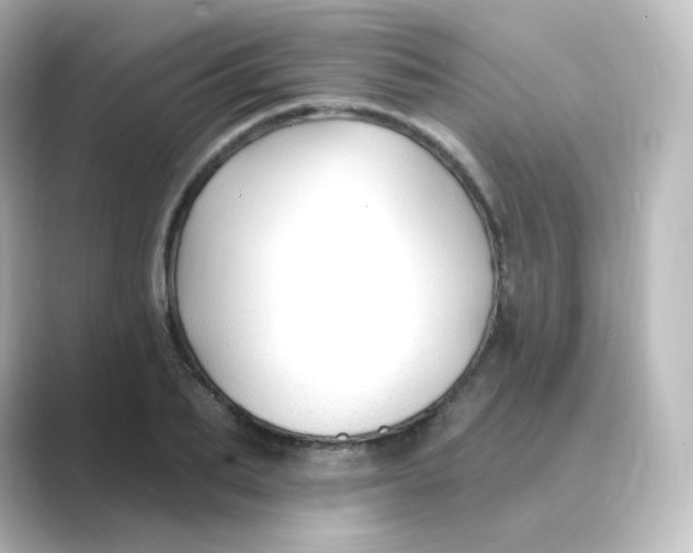 X0000088750887200706212113