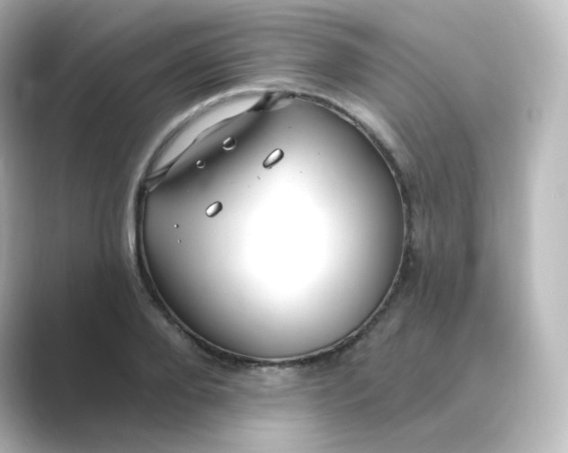 X0000088750888200706212113