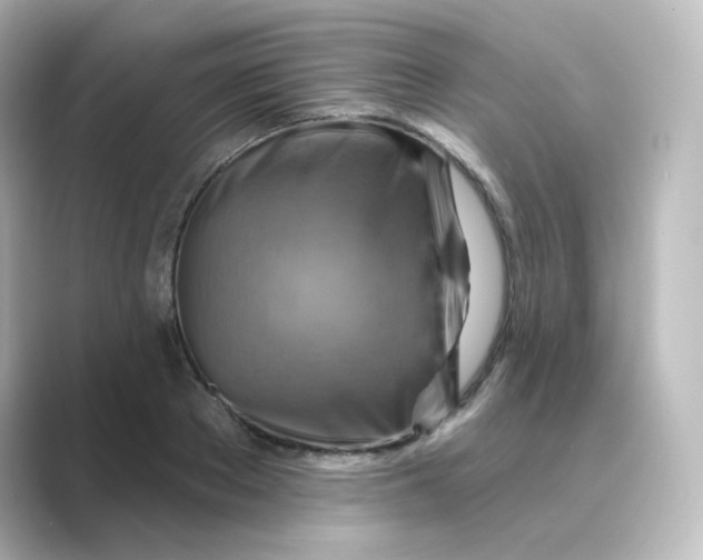 X0000088750889200706212113