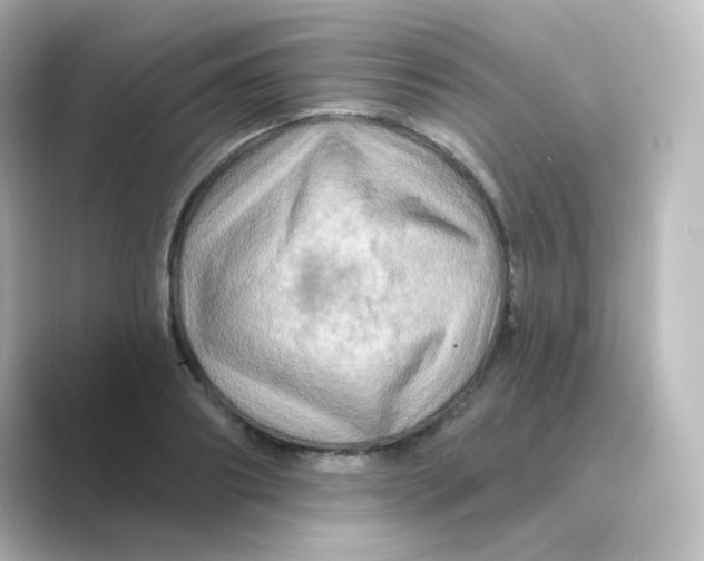 X0000088750890200706212113