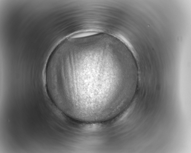 X0000088750891200706212113