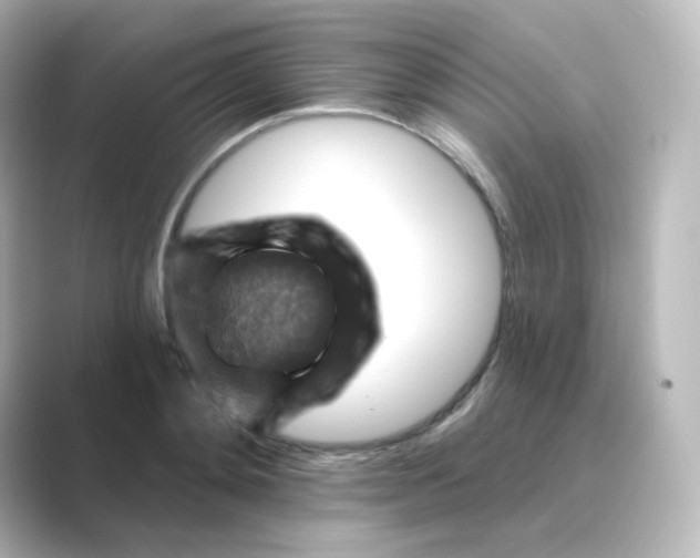 X0000088750892200706212113