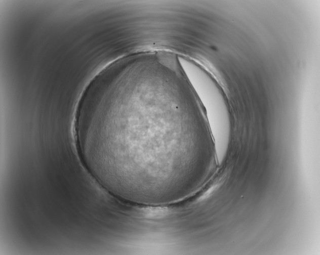 X0000088750893200706212112