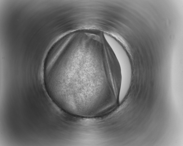 X0000088750894200706212112