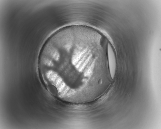 X0000088750895200706212112