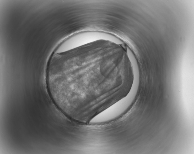 X0000088750896200706212112