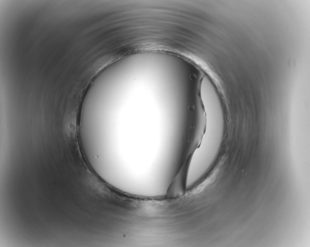 X0000088750897200706212112