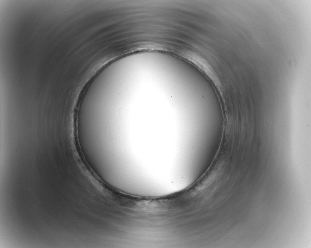 X0000088750898200706212112