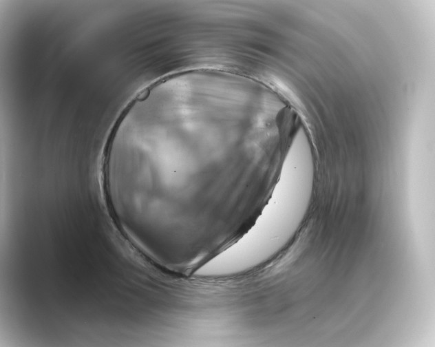 X0000088750899200706212112