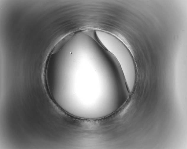 X0000088750901200706212112