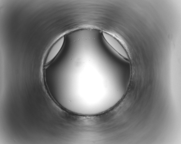 X0000088750902200706212112