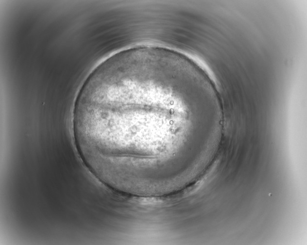 X0000088750903200706212112