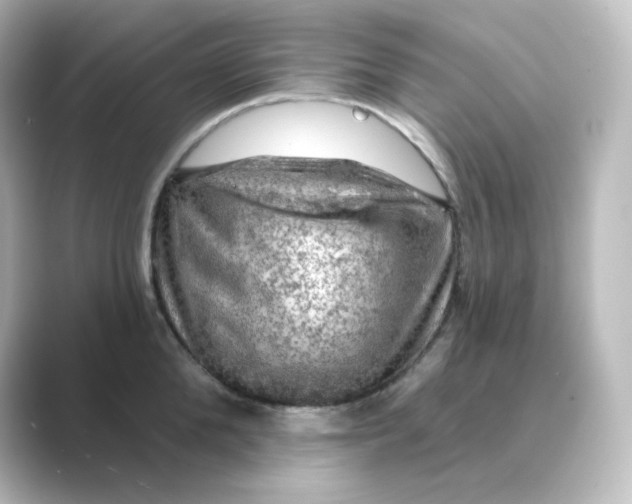 X0000088750904200706212112